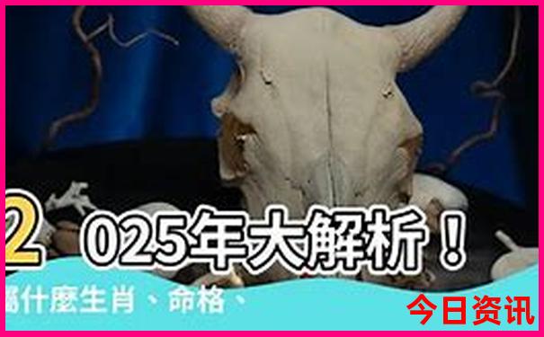 日照小孩玩的地方有哪些